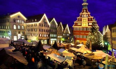 宝宝起名取名大全带琪字