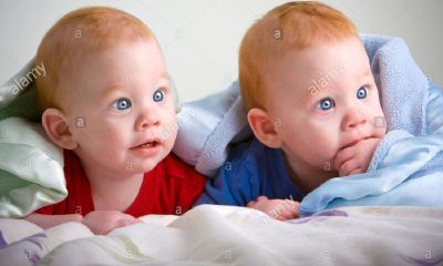 鸡年正月宝宝起名取名大全