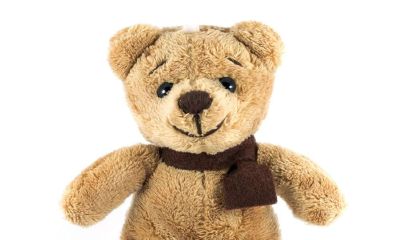 2017年3月的鸡宝宝起名取名