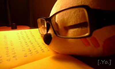 二月猴宝宝起名取名字姓温