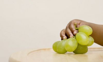 猴年姓赵男宝宝起名取名