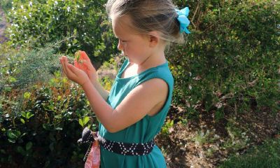 给宝宝起名取名字带紫的