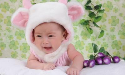 2月份鸡宝宝起名取名大全