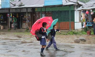 2015年12月赵姓宝宝起名取名大全