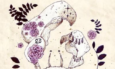 巨蟹座报复你的手段