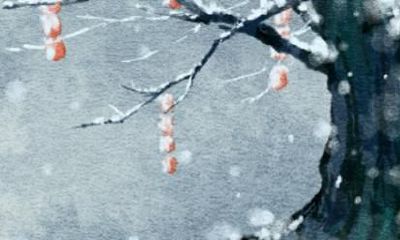 2021年属人的全年运势兔 健康运势分析