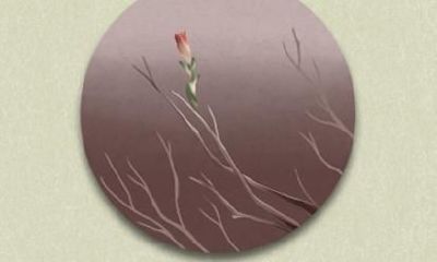 生肖兔2021年全年运势 运势好不好