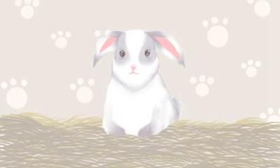 2021年属兔人正月能结婚吗 结婚吉日是哪几天