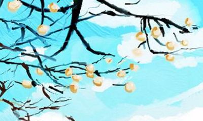 属兔的事业运 属兔人2021年适合创业吗