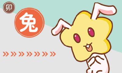 属兔的人上半年会迎来什么好运