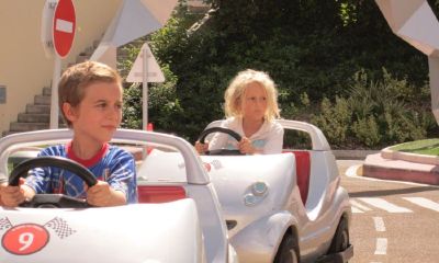 鸡宝宝起名取名宜用什么字