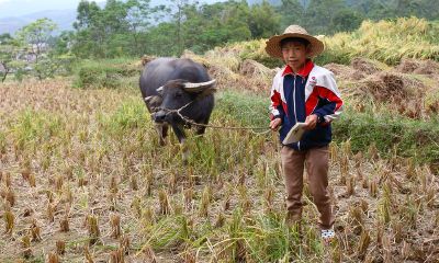 新字辈男宝宝起名取名大全