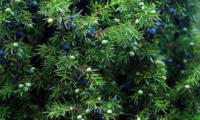 2022年阳历有哪几天的日子是不好的？是属于凶日？