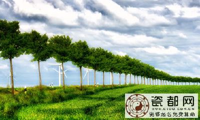 属鸡的佩戴什么好