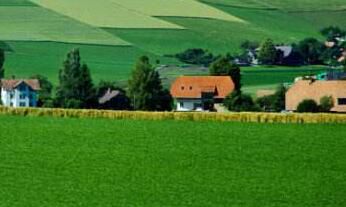 大揭秘,处女座有多么适合投资？