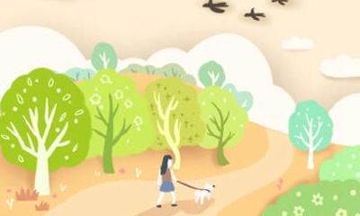 生肖鸡的运势解析 2021年属鸡人运势运程