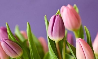 兔年正月十五出生2023年