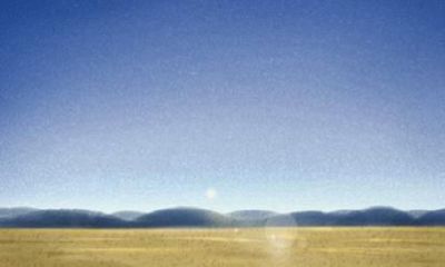 1993年2021年属鸡人全年运势 28岁属鸡人运程