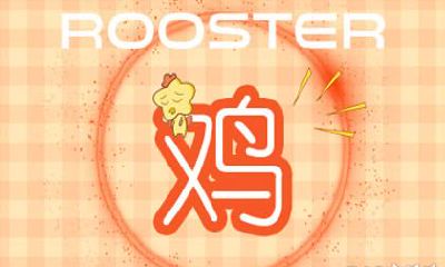 2005年属鸡几月出生好 几月命运好