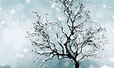 69年2021年属鸡人的全年运势 52岁属鸡男的运势