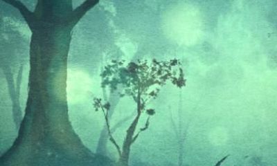 81年属鸡2021年运势及运程婚姻 40岁属鸡女运势如何