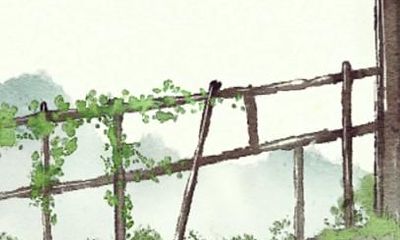 2021年属鸡人的健康运势怎么样