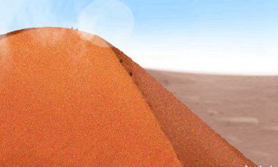 天生有富贵命的生肖女