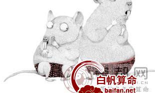 光棍节生肖鼠脱光攻略