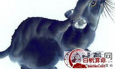 专属生肖鼠的人的风水