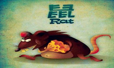 生肖鼠什么时候最倒霉