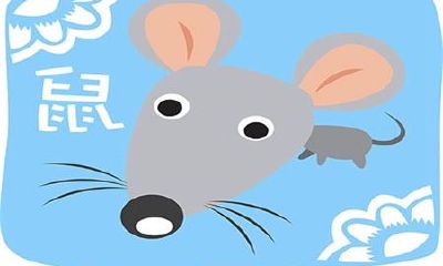 关于生肖鼠的脾气个性