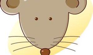 属鼠的人今年多大 属鼠的人2015不同年份的命运