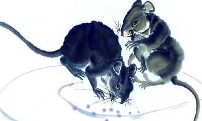 属鼠的三合生肖，属鼠的三合属相