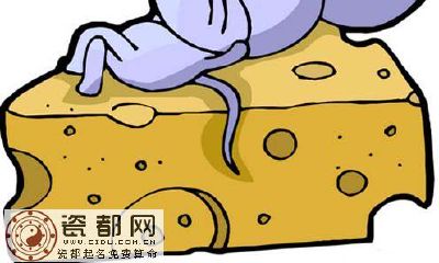 2018年属鼠的几月出生最好