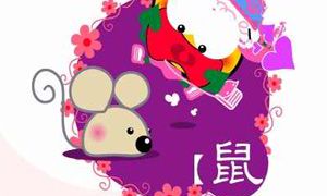 生肖鼠的幸福婚配