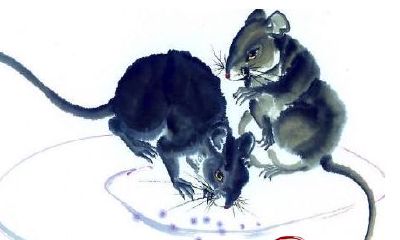 2017年生肖鼠事业运势、财运、健康运势如何