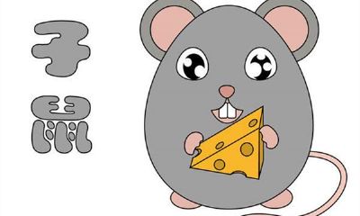 十二生肖中属鼠的人命运如何？几点出生最好？