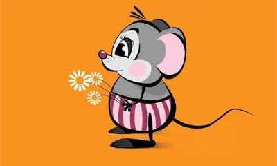 属鼠和什么属相不配