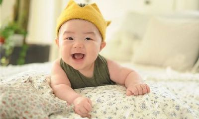 属鼠的宝宝什么月份生最好