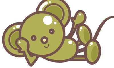 属鼠人2019年运势怎么样