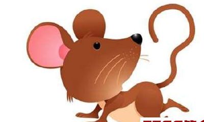 1984年出生的属鼠人2018年健康运势如何？