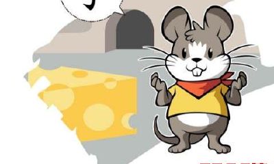 生肖鼠2017年10月运势分析