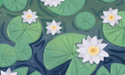 把老婆当生育机器的生肖男