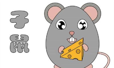 猪年2019属鼠男性的属相婚配表