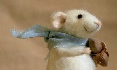 属鼠的年份:1984,1996,2008,2020