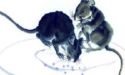 2017年5月生肖鼠财气运势