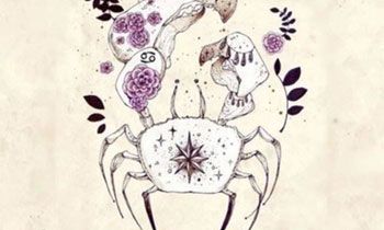 巨蟹男和处女女一起会有结果吗