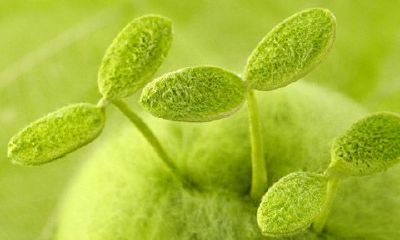 巨蟹座男宝宝的性格特征