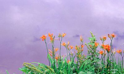 属马巨蟹座的最佳配偶