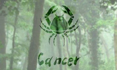 巨蟹座最像哪些卡通人物